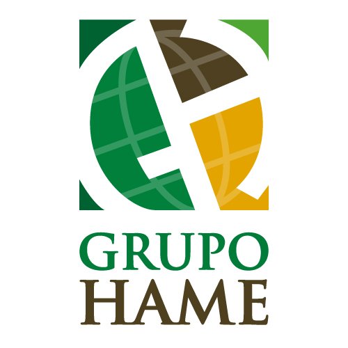 Grupo Hame